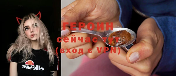 сатива Беломорск