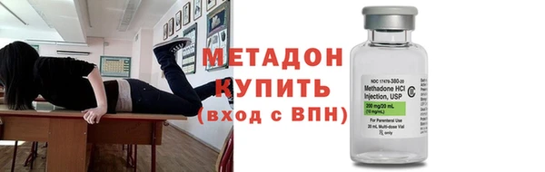 сатива Беломорск