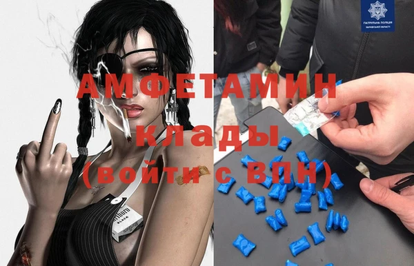 сатива Беломорск