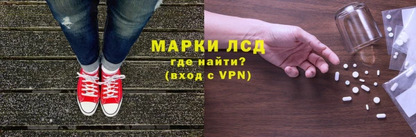 сатива Беломорск
